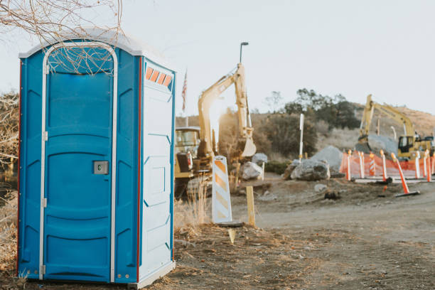 Best Porta potty rental for parties  in Violet, LA
